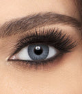 Sterling Gray / 0.00